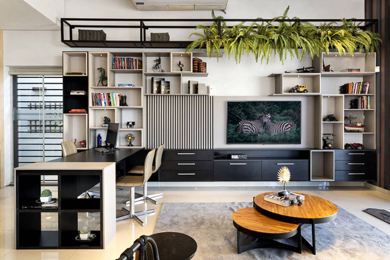 Predilecta_Piracicaba